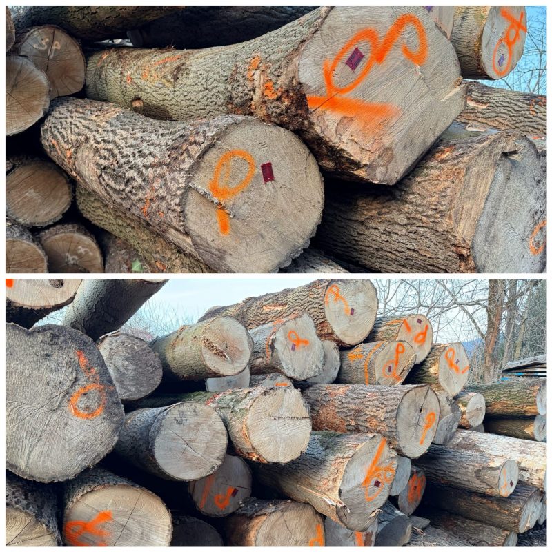 ROUND ASH WOOD WITH BARK