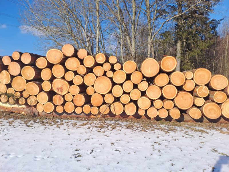LARCH WOOD ROUND WITH BARK