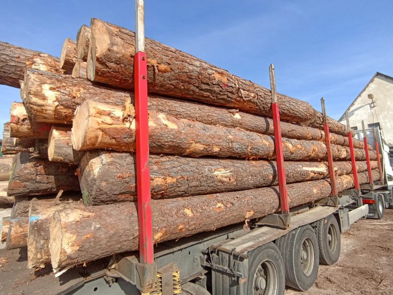 ROUND PINEWOOD WITH BARK 