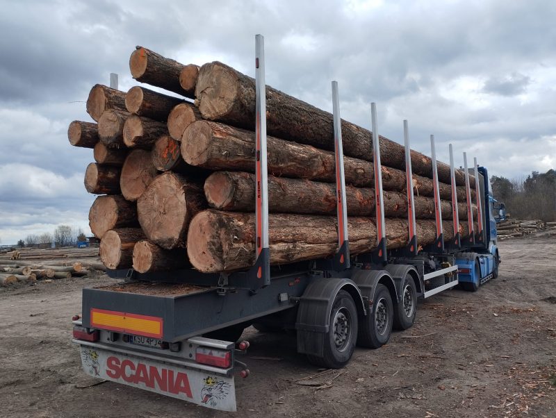 DOUGLAS-FIR LOGS 