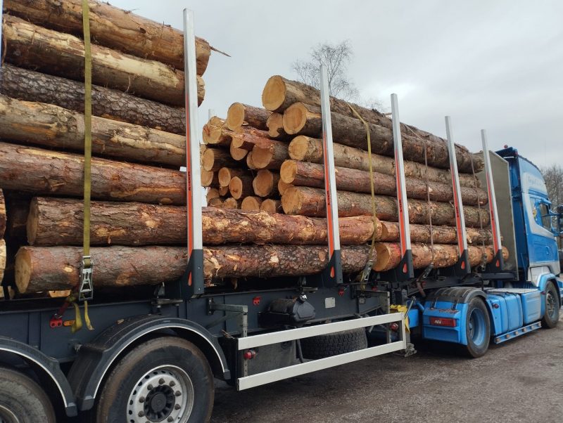 ROUND PINEWOOD WITH BARK 