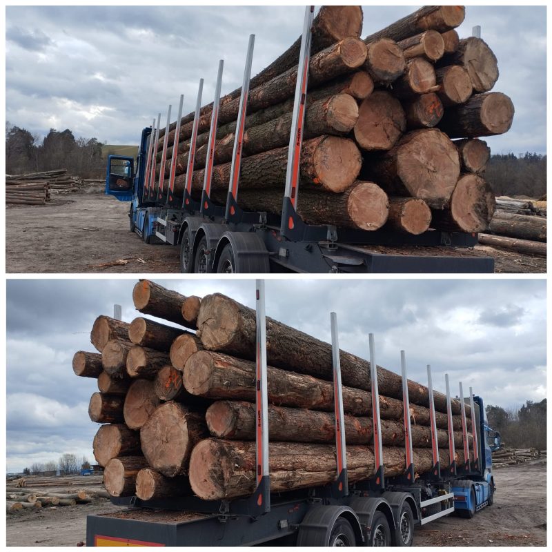 DOUGLAS-FIR LOGS 
