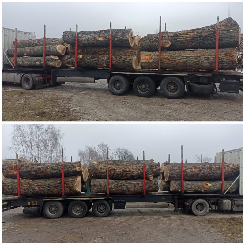 POPLAR LOGS 