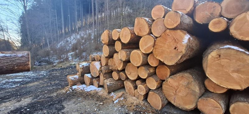 DOUGLAS-FIR LOGS 