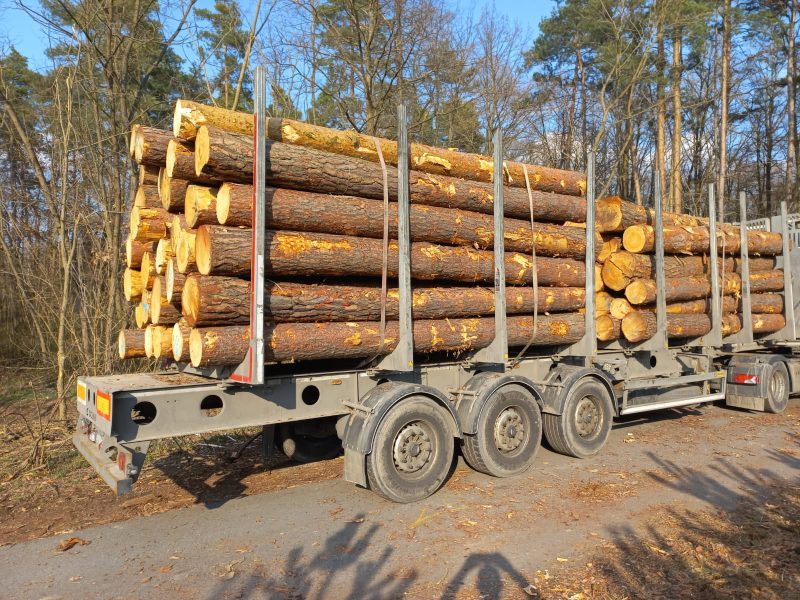 ROUND PINEWOOD WITH BARK 