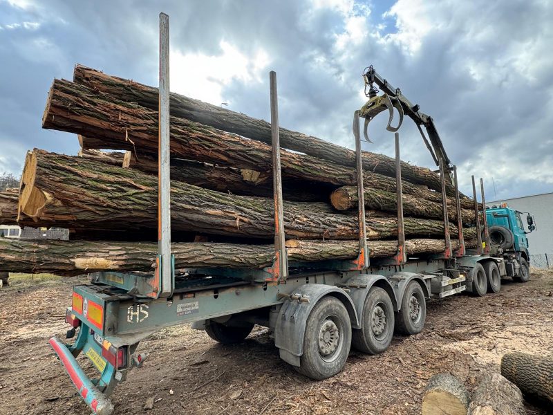 ACACIA LOGS 