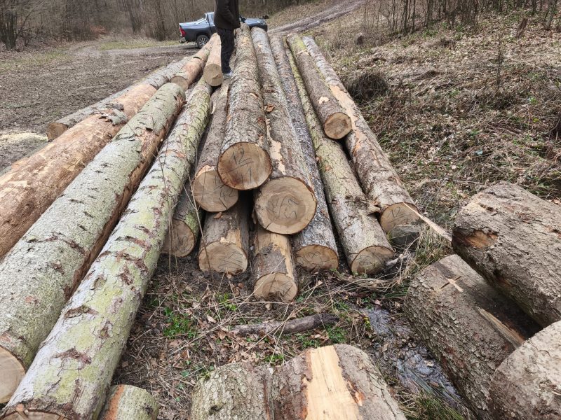 FIR TIMBER ROUND WITH BARK 