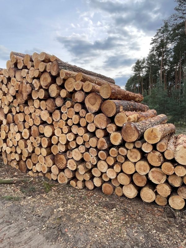 ROUND PINEWOOD WITH BARK 