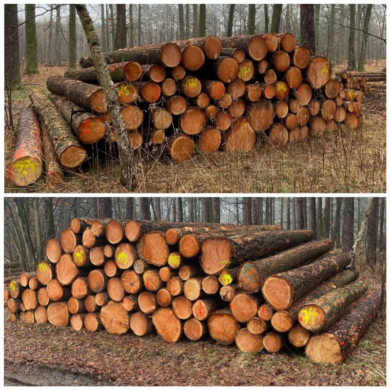 DOUGLAS-FIR LOGS 