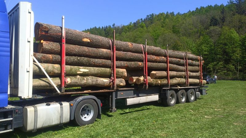 ROUND ASH WOOD WITH BARK
