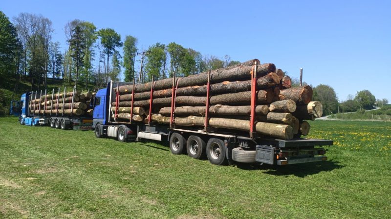 ROUND ALDER WOOD WITH BARK 