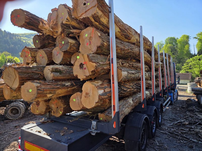 ACACIA LOGS