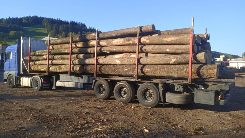 ASH LOGS 