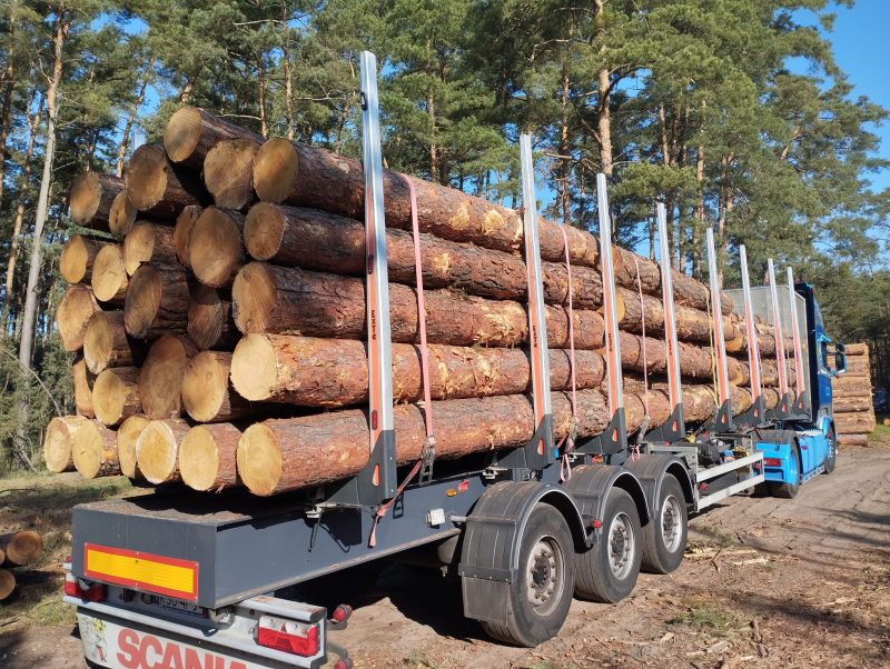 ROUND PINEWOOD WITH BARK