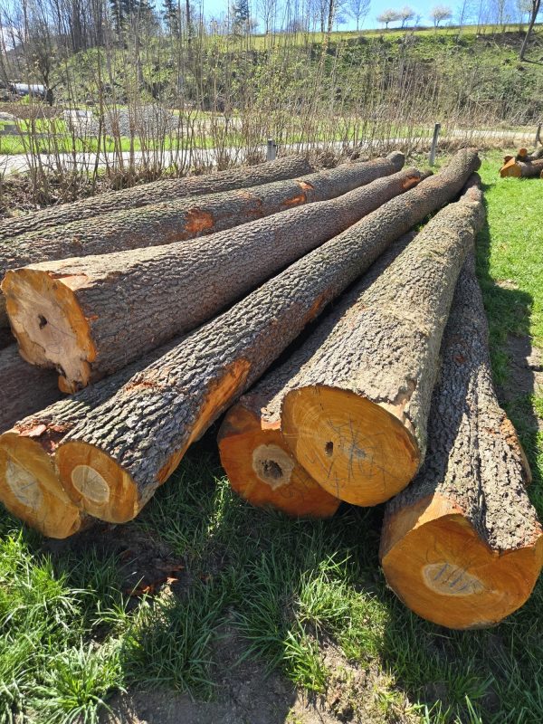ROUND ALDER WOOD WITH BARK 