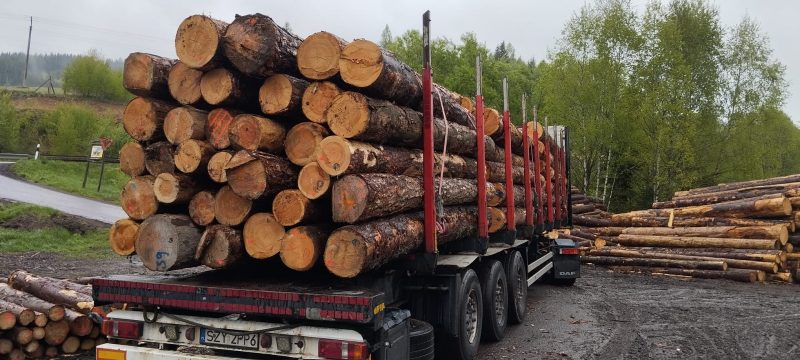 ROUND PINEWOOD WITH BARK 