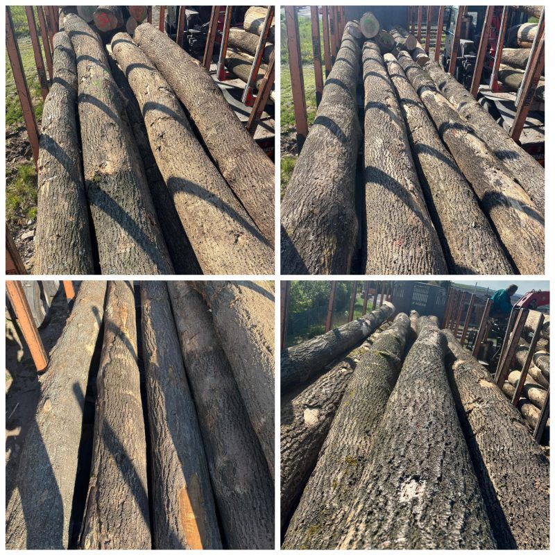 ROUND ASH WOOD WITH BARK