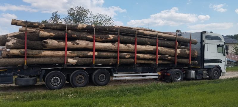 ROUND ASH WOOD WITH BARK