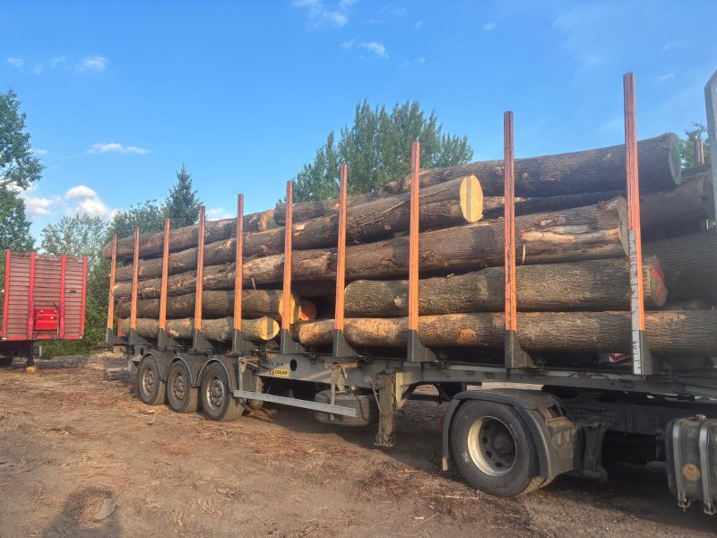 ROUND ASH WOOD WITH BARK 