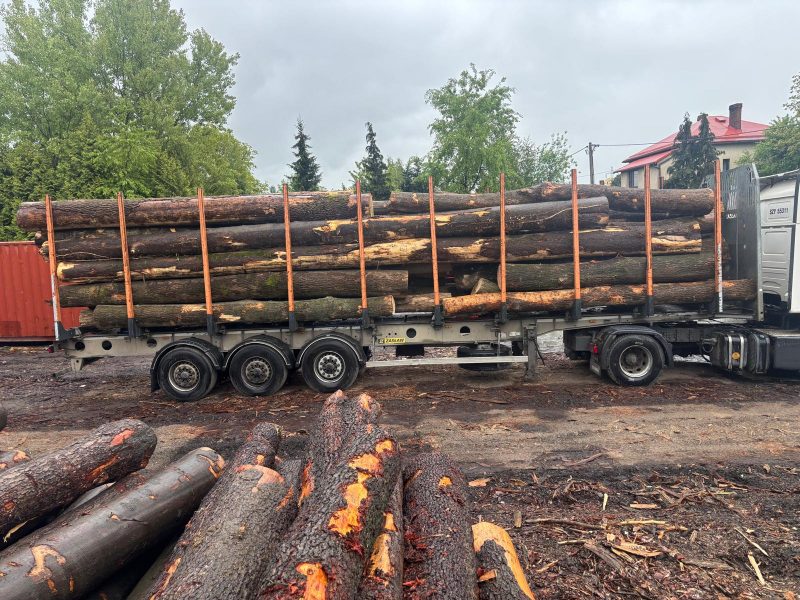 ROUND ASH WOOD WITH BARK 