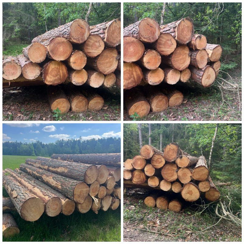 ROUND PINEWOOD WITH BARK 