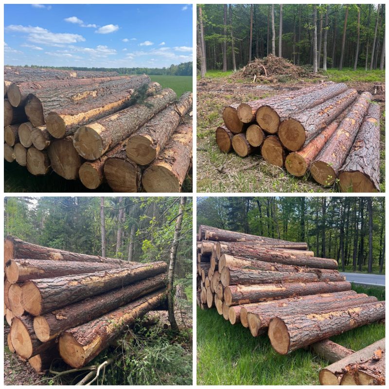 ROUND PINEWOOD WITH BARK