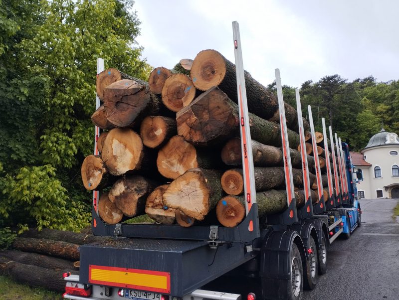 ROUND ASH WOOD WITH BARK
