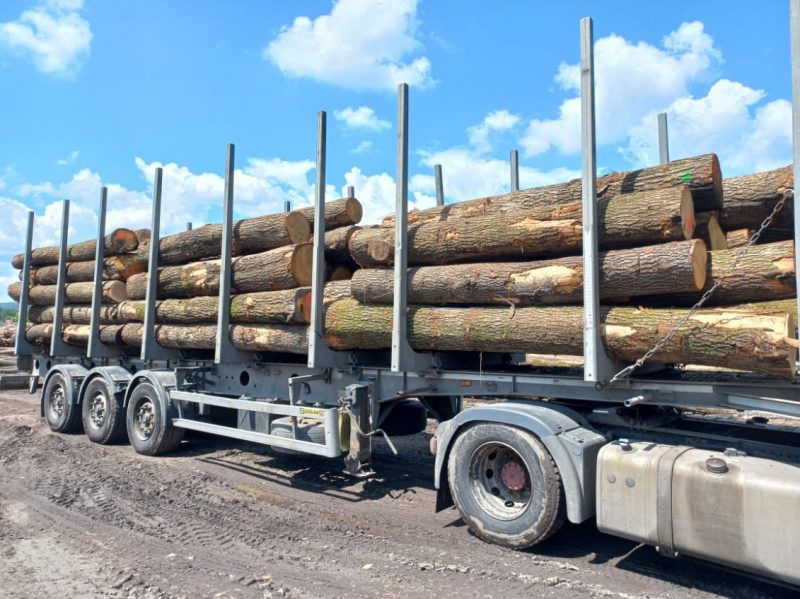 ROUND OAK WOOD WITH BARK 