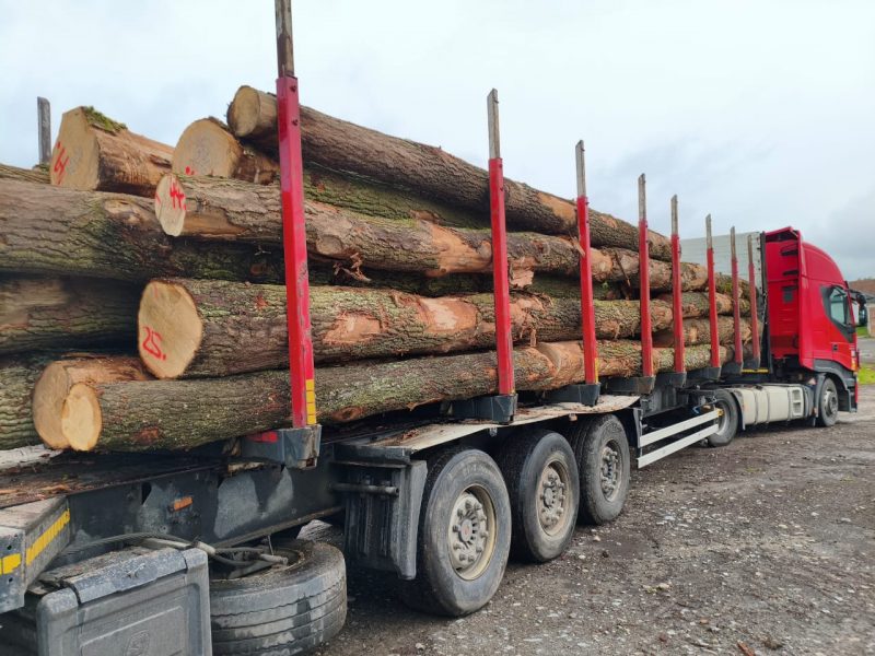 ROUND OAK WOOD WITH BARK 
