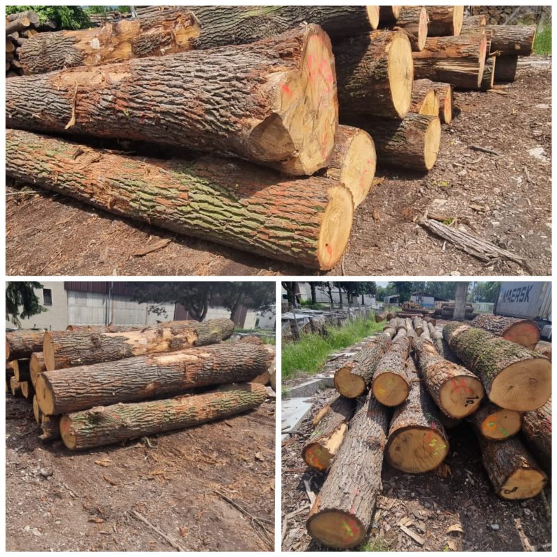 ROUND OAK WOOD WITH BARK 
