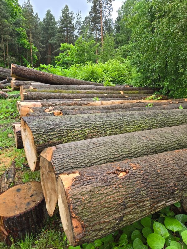 ROUND ASH WOOD WITH BARK 