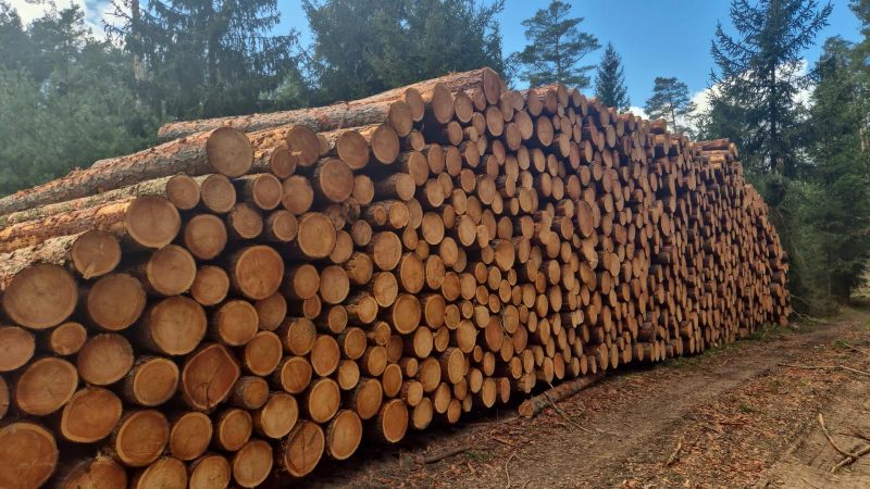 LARCH WOOD ROUND WITH BARK 