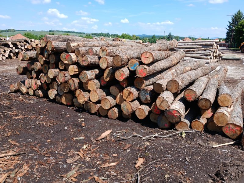 ROUND OAK WOOD WITH BARK