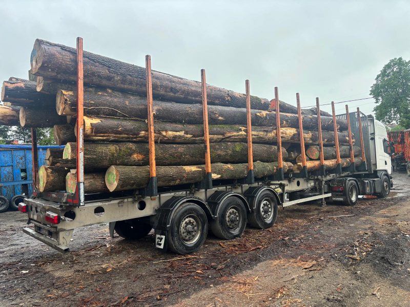 ROUND ASH WOOD WITH BARK 