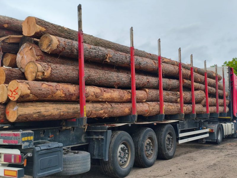 LARCH WOOD ROUND WITH BARK