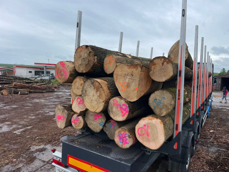 ROUND ASH WOOD WITH BARK 