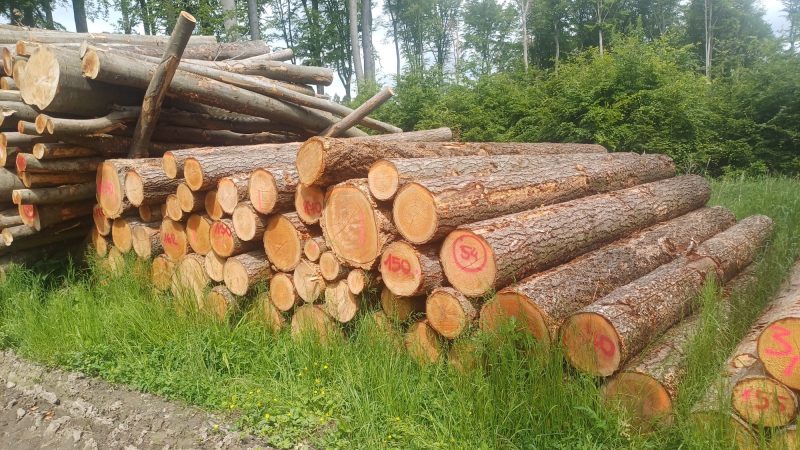 DOUGLAS-FIR LOGS 