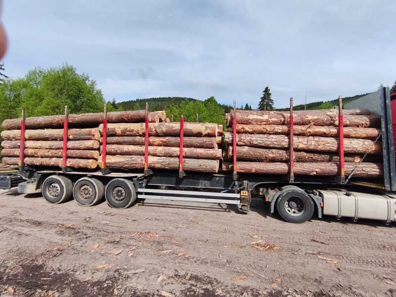 ROUND PINEWOOD WITH BARK 