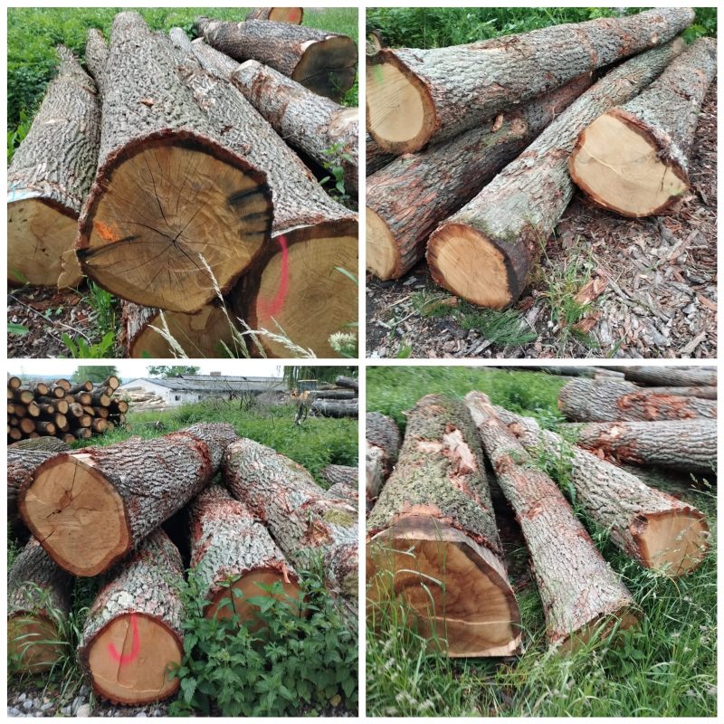 ROUND OAK WOOD WITH BARK 