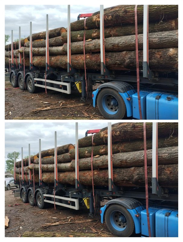 ROUND OAK WOOD WITH BARK 