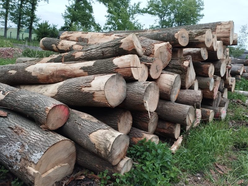 ROUND ASH WOOD WITH BARK 