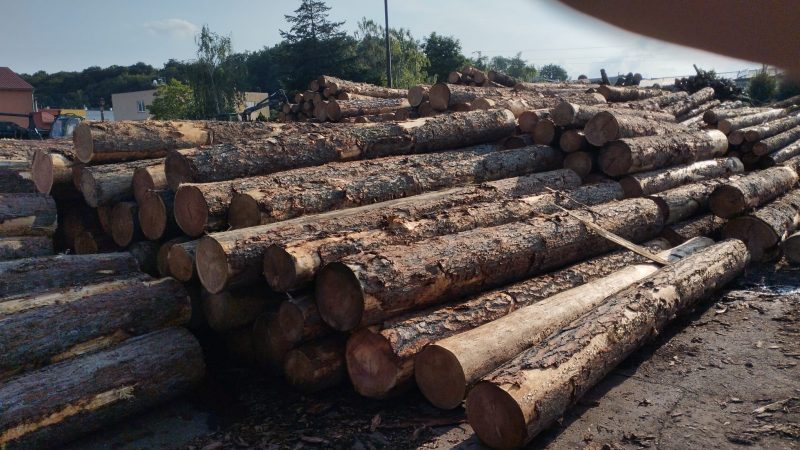 LARCH WOOD ROUND WITH BARK 