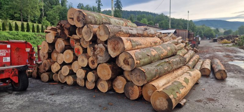 ROUND BEECHWOOD WITH BARK