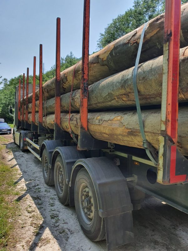 ROUND BEECHWOOD WITH BARK 