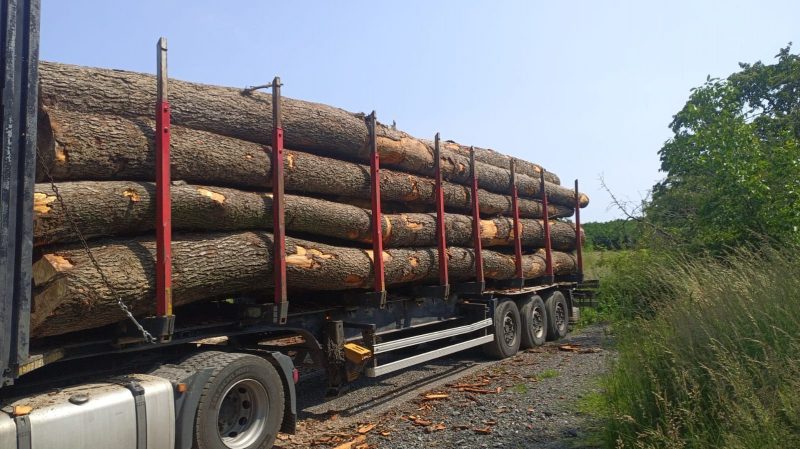 ROUND ALDER WOOD WITH BARK