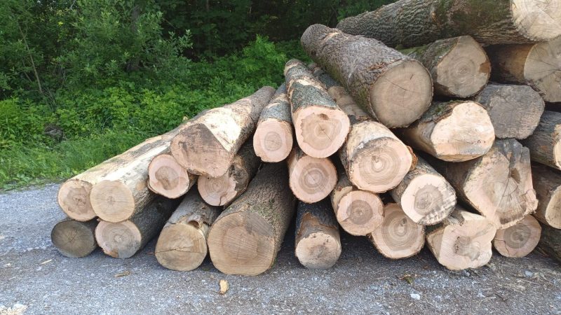 ROUND ASH WOOD WITH BARK