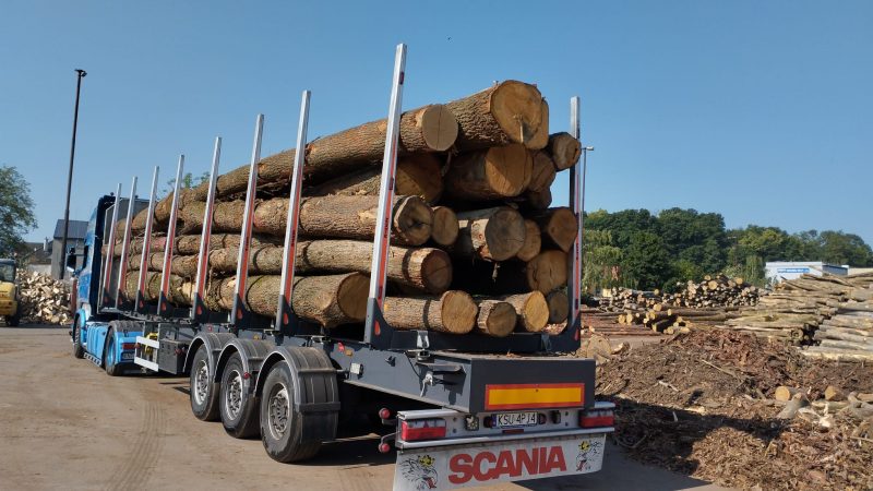 ROUND OAK WOOD WITH BARK 