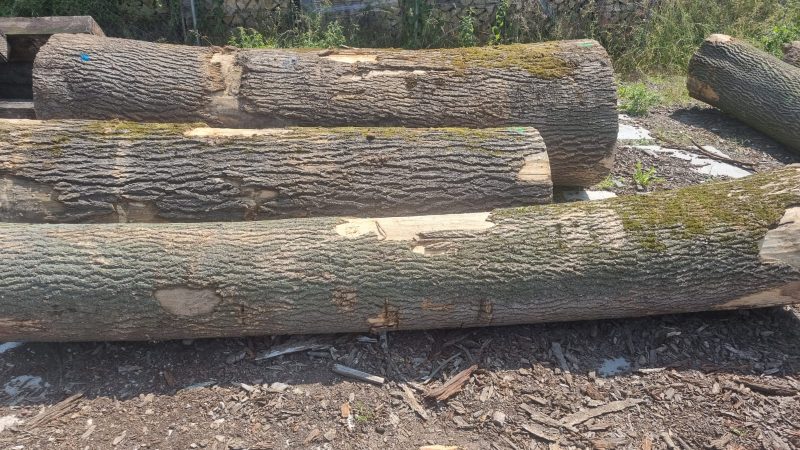 ROUND ASH WOOD WITH BARK