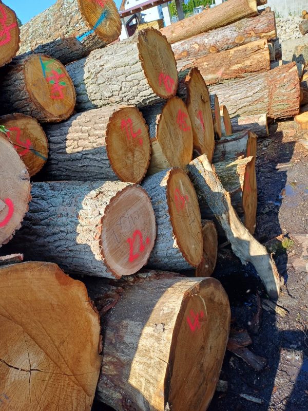 ROUND OAK WOOD WITH BARK 