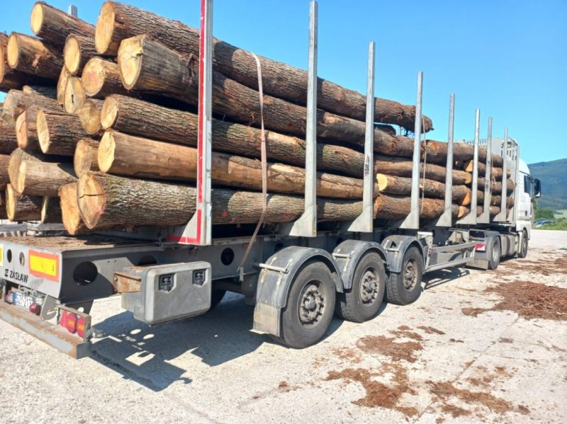 ROUND OAK WOOD WITH BARK 